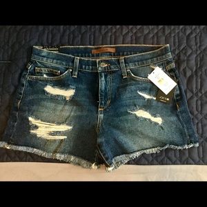 Joe’s cut off shorts